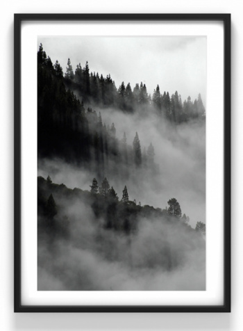 Poster - Landskap i dimma 50 x 70 cm