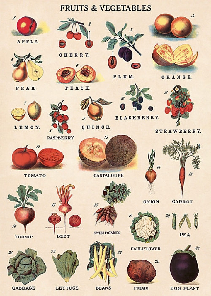 Poster - Grnsaker och frukter