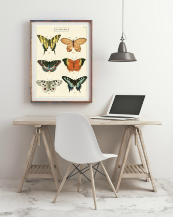 Poster - Papillons