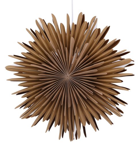 Adventsstjärna 'Svedala' 35cm - Brun
