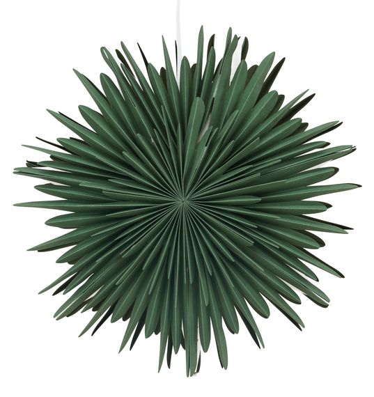 Adventsstjärna 'Svedala' 46cm - Grön