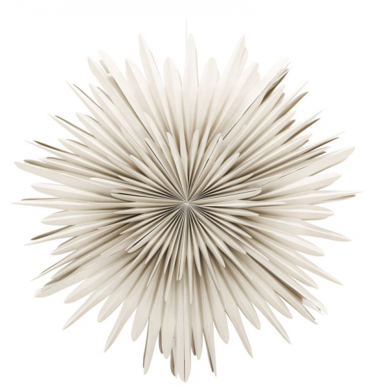 Adventsstjärna 'Svedala' 100cm - Beige