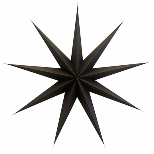 Julstjärna 'Point' L - Brun