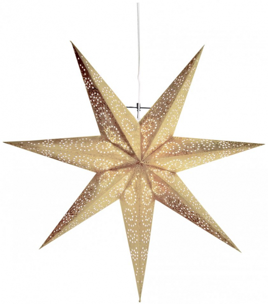 Julstjärna 'Antique' - Guld