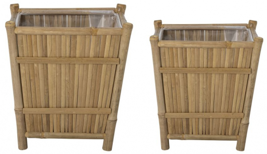 Blomkruka 'Sole' 2st - Bambu