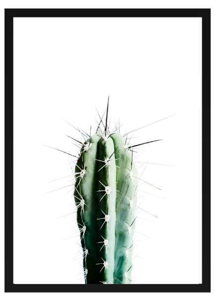 Poster - 'Kaktus'