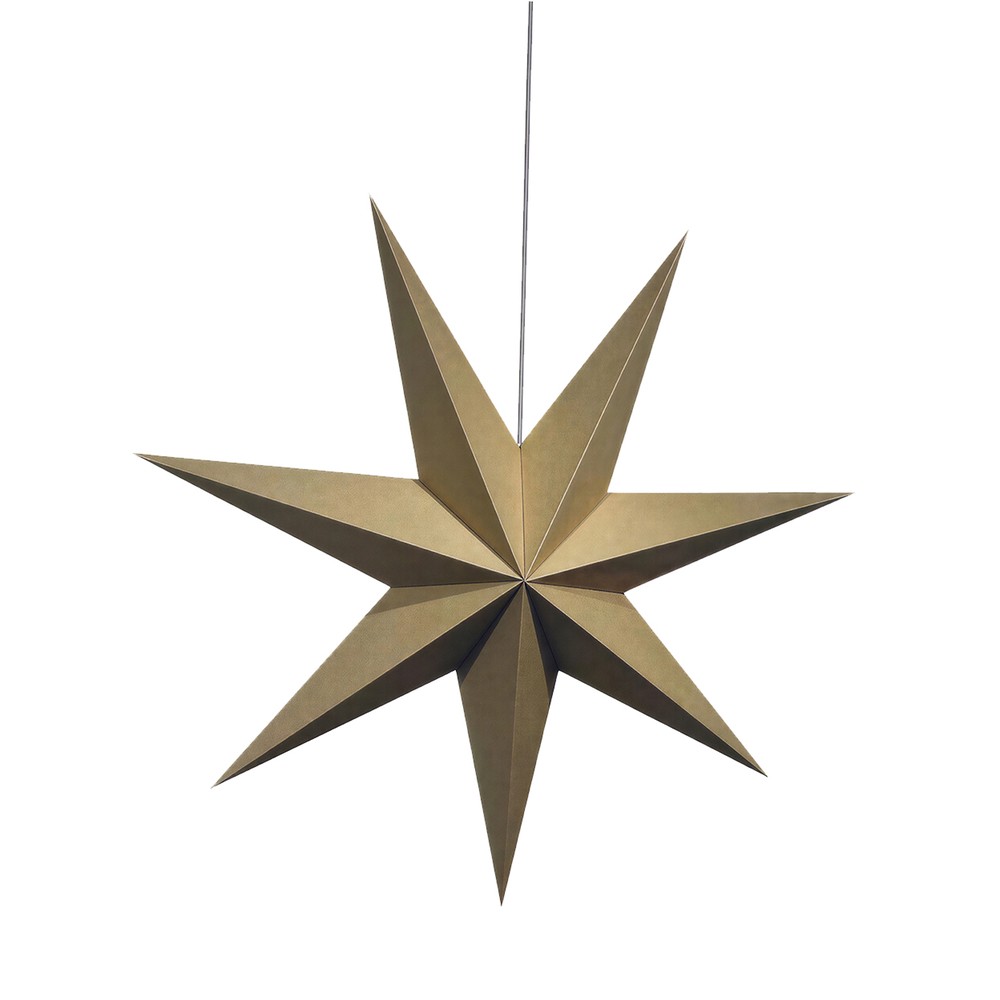 Adventsstjärna 'Sally' 60cm - Brun