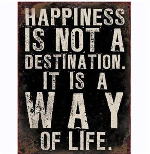 Skylt Happiness is not Reforma S Skylt Happiness is not Reforma S
