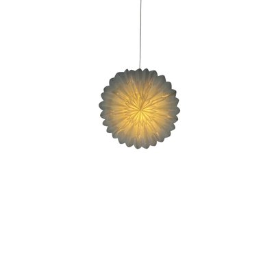Adventsstjärna 'Lotus' 60cm - Vit