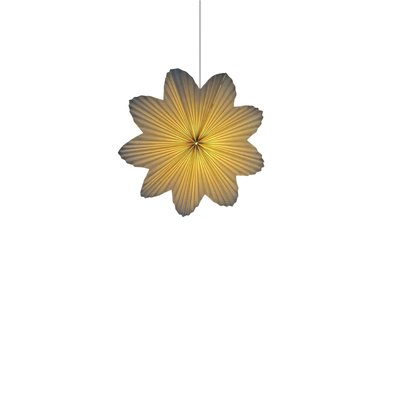 Adventsstjärna 'Daisy' 60cm - Vit