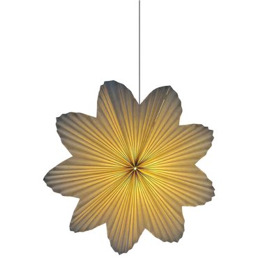 Adventsstjärna 'Daisy' 60cm - Vit