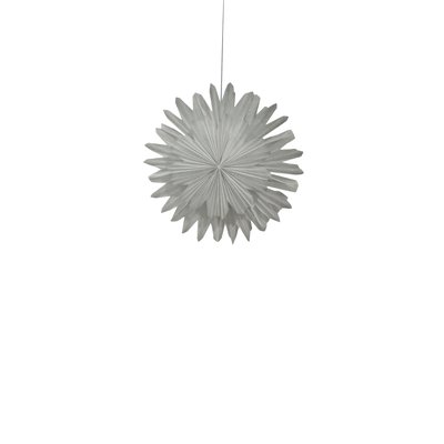 Adventsstjärna 'Lucia' 60cm - Vit