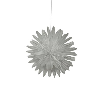 Adventsstjärna 'Lucia' 60cm - Vit