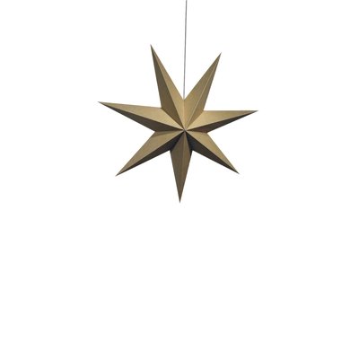 Adventsstjärna 'Sally' 60cm - Brun