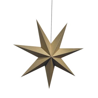 Adventsstjärna 'Sally' 60cm - Brun
