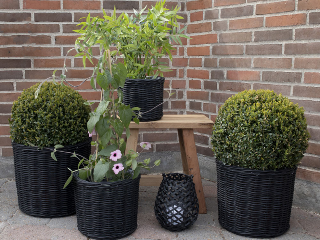 Korgar 'Bogor Black' 4-pack - Svart