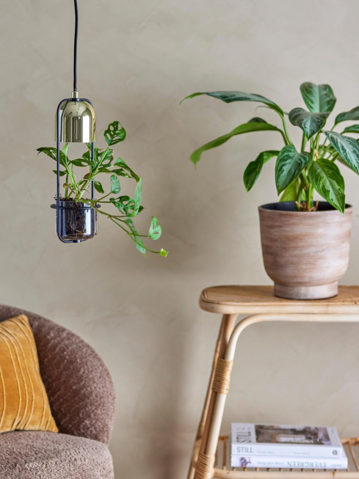 Taklampa 'Gullak' - Guld