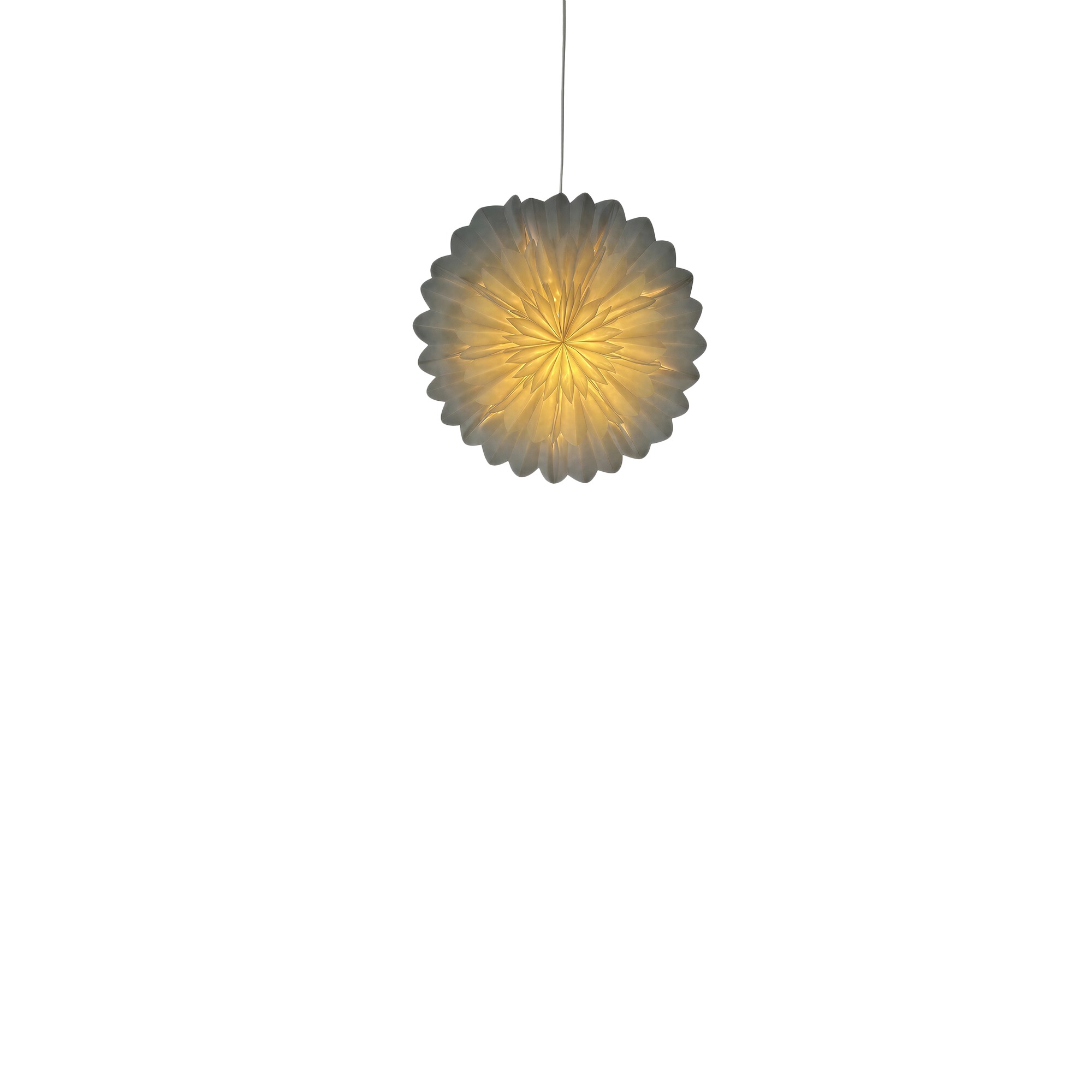 Adventsstjärna 'Lotus' 45cm - Vit