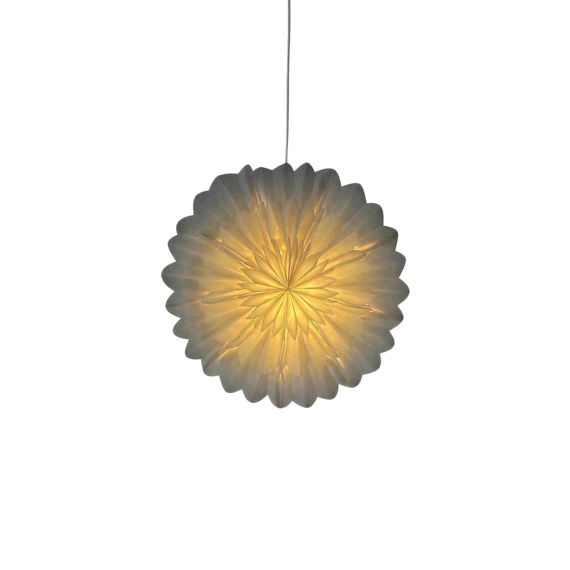 Adventsstjärna 'Lotus' 45cm - Vit