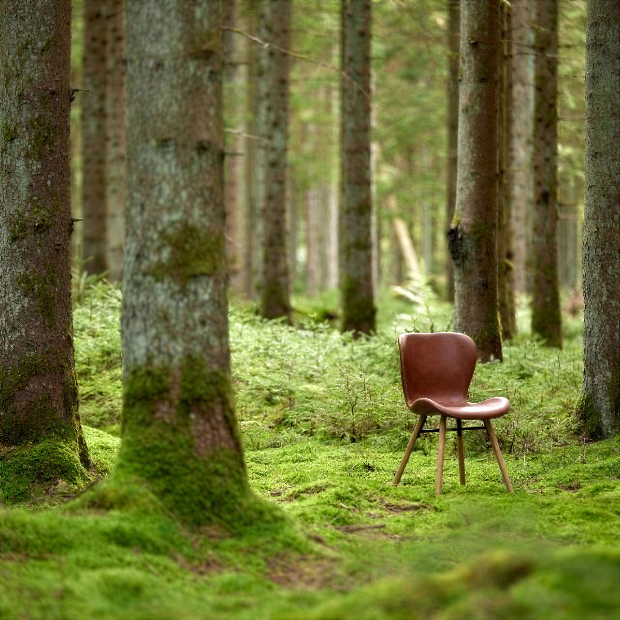 Stol 'Böda' - Natur/Brun