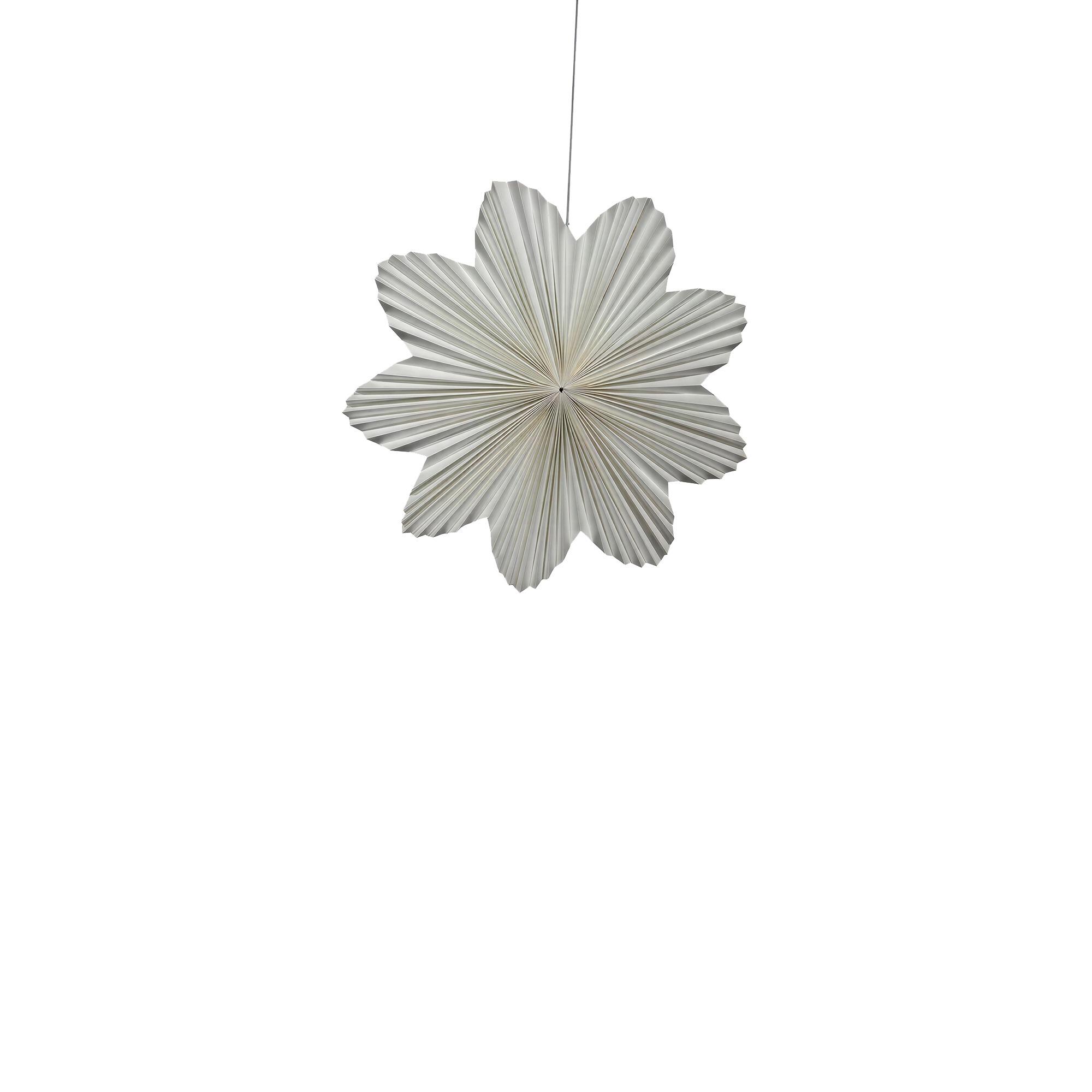 Adventsstjärna 'Daisy' 60cm - Vit