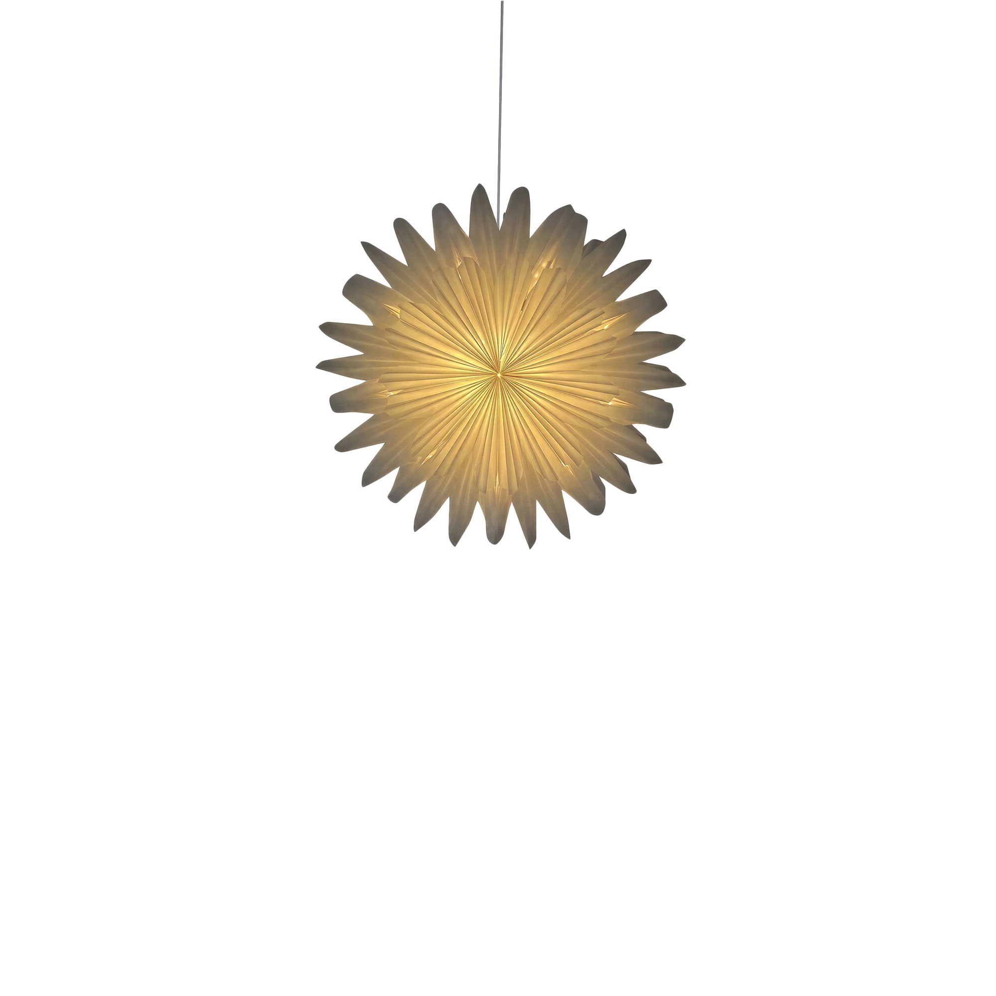 Adventsstjärna 'Lucia' 60cm - Vit
