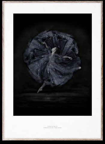 Poster \'Essence of Ballet 06\' 50x70 cm - Svart/Vit