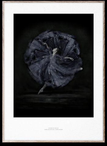 Poster \'Essence of Ballet 06\' 50x70 - Svart/Vit