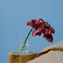 Pall \'Rose Teak\' - Natur