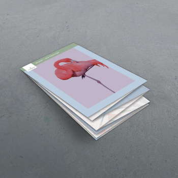 Poster - The Flamingo