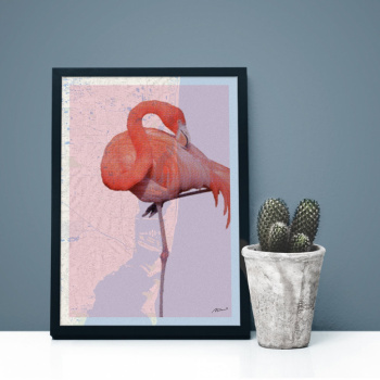 Poster - The Flamingo A4