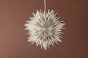 Adventsstjärna \'Svedala\' 35cm - Beige