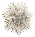 Adventsstjärna \'Svedala\' 35cm - Beige