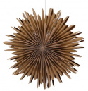 Adventsstjärna \'Svedala\' 35cm - Brun