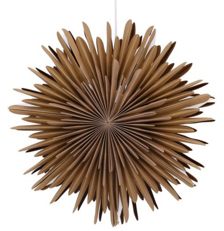 Adventsstjärna 'Svedala' 35cm - Brun