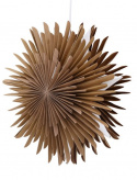 Adventsstjärna \'Svedala\' 35cm - Brun