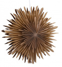 Adventsstjärna \'Svedala\' 35cm - Brun