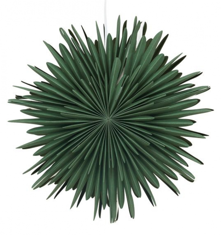 Adventsstjärna 'Svedala' 46cm - Grön