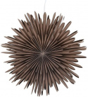 Adventsstjärna \'Svedala\' 46cm - Greige