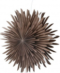 Adventsstjärna \'Svedala\' 46cm - Greige
