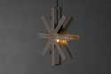 Adventsstjärna \'Gotland\' - Brun