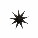 Julstjärna \'Point\' S - Brun
