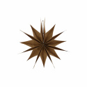Julstjärna \'Capella\' L - Natur 