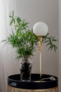 Bordslampa \'Savoy High\' - Mässing