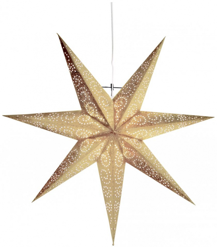 Julstjärna 'Antique' - Guld