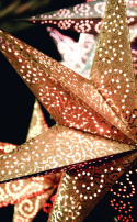 Julstjärna \'Antique\' - Guld