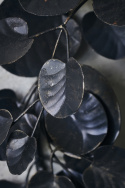 Krans \'Eucalyptus\' - Svart