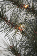 Krans \'Christman\' - Grön