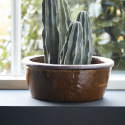Planteringslåda \'Whai\' S - Senapsgul