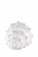 Bordslampa \'Seashell\' - Vit